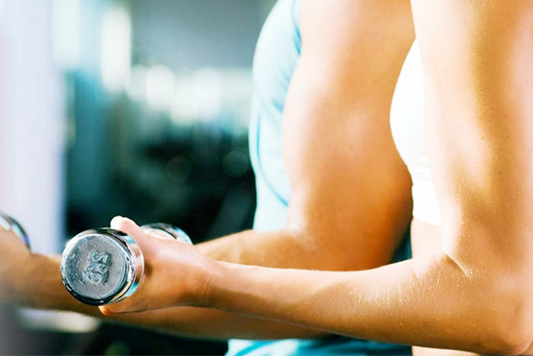 Fatburner